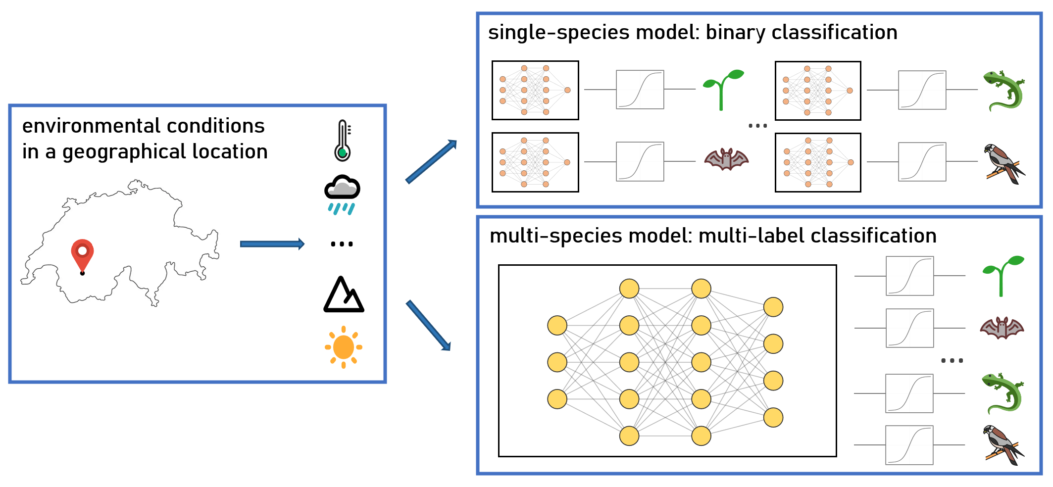 Exploring the potential of neural networks for Species Distribution Modeling