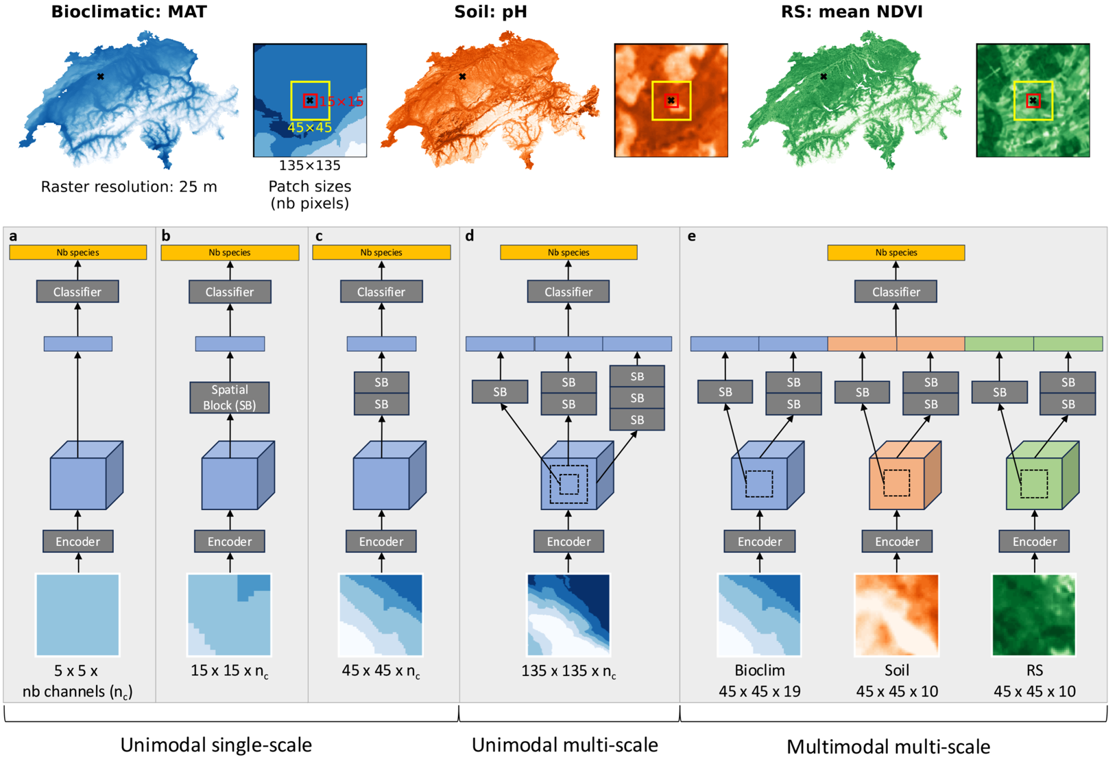 Multi-scale neural networks enhance species distribution modelling across predictors and taxonomic groups